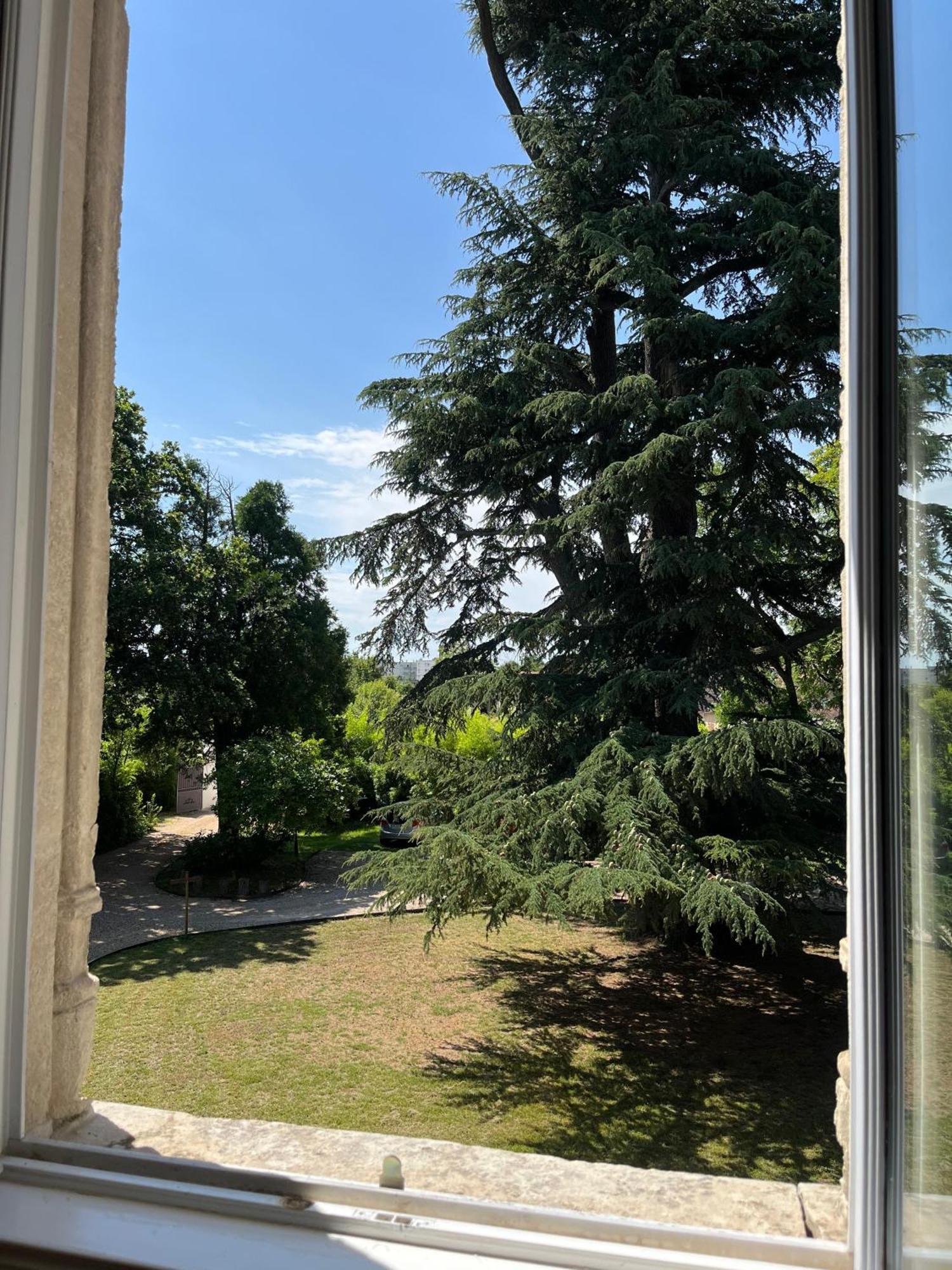 Le Clos Du Cedre Saint-Ouen  Экстерьер фото